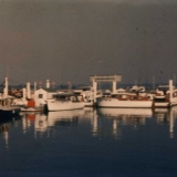 1954 Marina Docks
