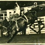 1949 Ted III in Rodeo