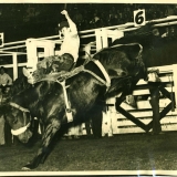 1949 Ted III in Rodeo